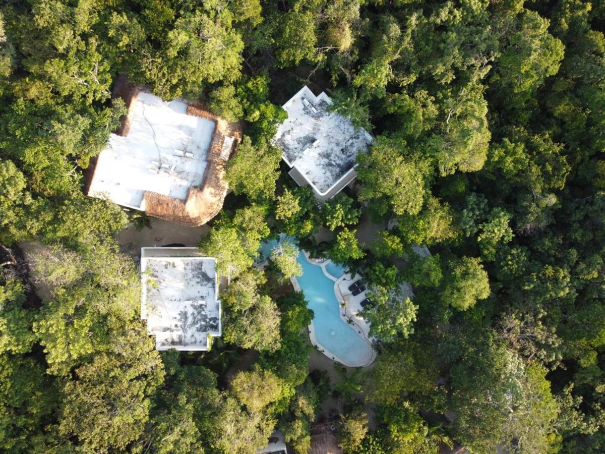 Cachito De Cielo Luxury Jungle Lodge Tulum Exteriér fotografie